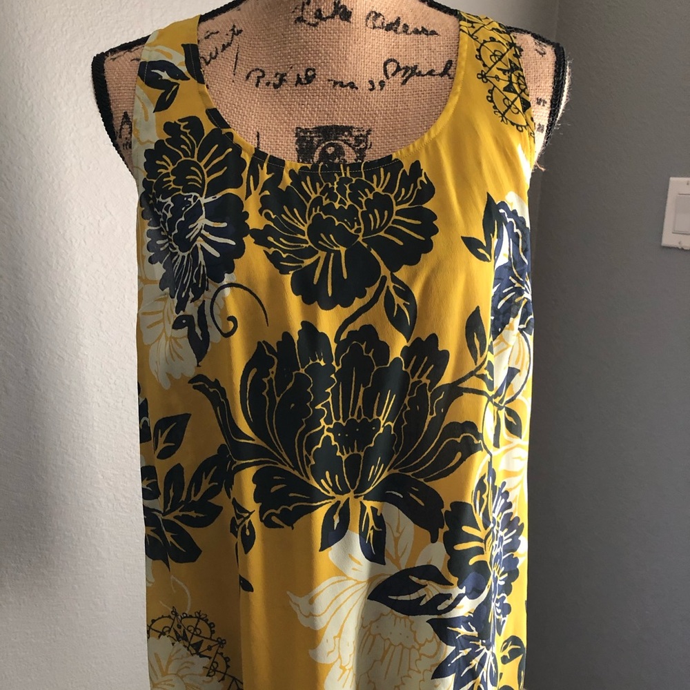 CAbi razor-back blouse